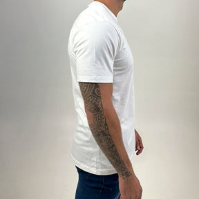 KIT 5 Lacoste Basic Premium